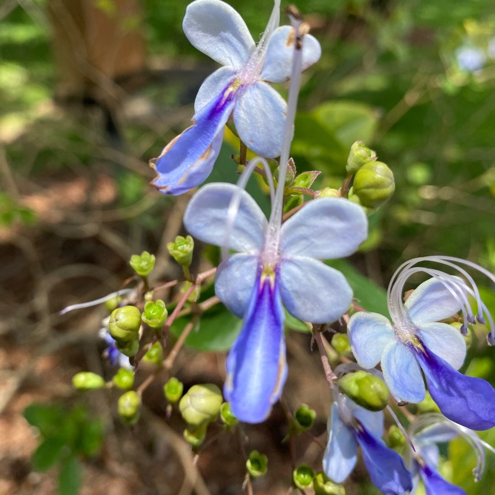 Meet your Posher, Whytni